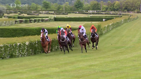 Koně a sport - 29. května