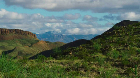 Dobrodružství vědy a techniky - Druhová rozmanitost na Riu Grande - národní park Big Bend