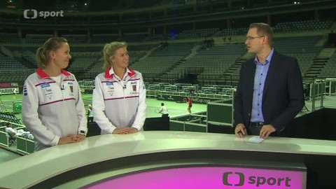 Fed Cup 2014 - Česko - Německo (finále)