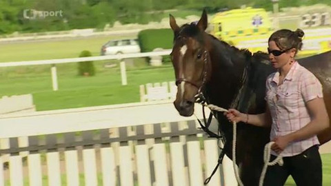 Turf - 21. května 2013