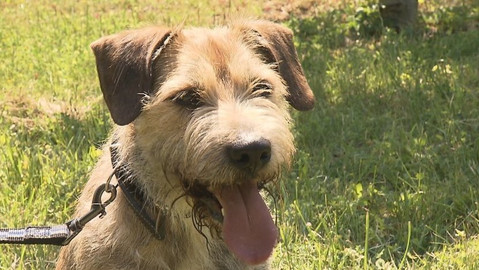 Chcete mě? - Chcete je?