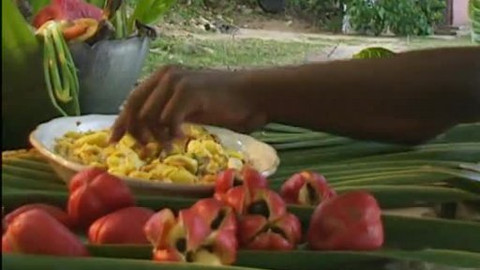 Doma chutná nejlépe - 7/26 Tracy - Ann z Jamajky