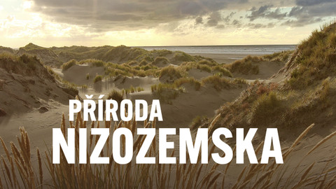 Příroda Nizozemska
