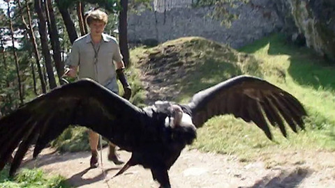 Jak se žije... - Jak se žije sokolníkům podle Jána Sebechlebského