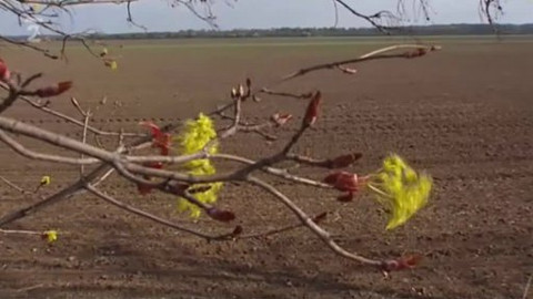 Nedej se! - Ničení půdy