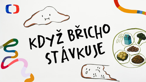 Síla z jídla aneb nekrmíš jen břicho - Když břicho stávkuje
