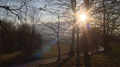 Černé ovce - 3. května 2021