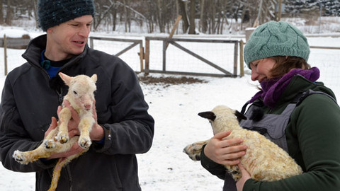Malá farma - Čekání na jaro