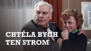 Obrázek pořadu Chtěla bych ten strom