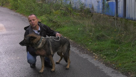 Chcete mě? - 25. října 2020