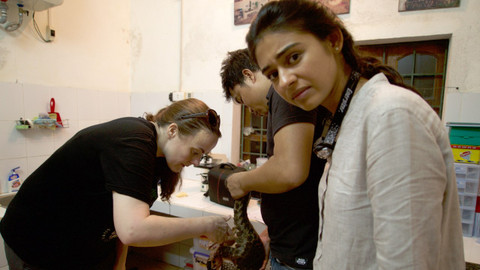 Obchody se životem a smrtí - Luskouni