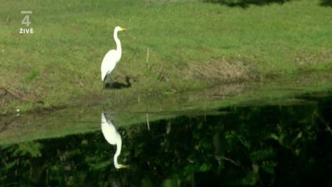 PGA Tour - PGA Tour 2011