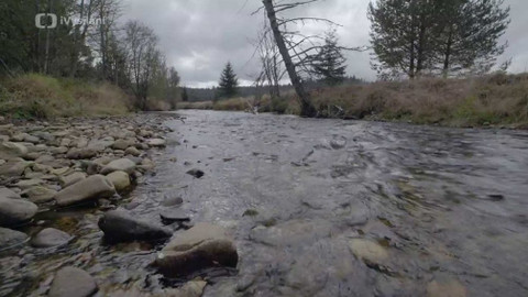 Minuty z přírody - Řeka Křemelná