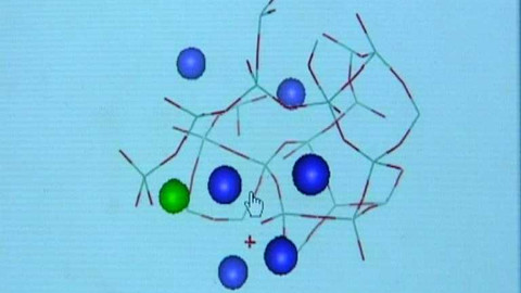 Popularis - 29. května 2003