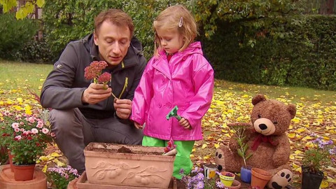 Moje zahrádka - Truhlíky pro paní květinářku