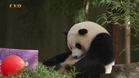 Zprávičky - 26. srpna 2022