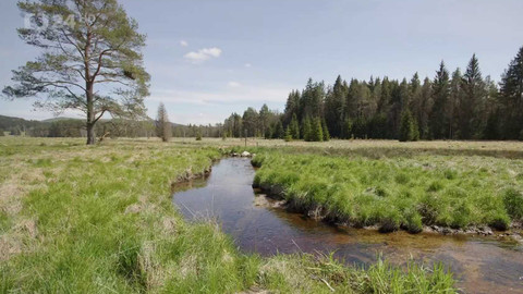 Regiony ČT24 - 10. května