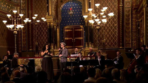 Světlo porozumění - Světlo porozumění 2022