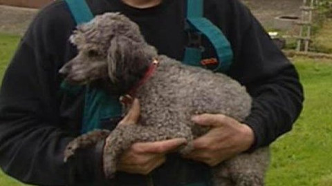 Chcete mě? - Chcete je?