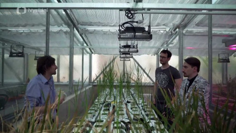 Kritika budoucnosti - 2. Zelenina