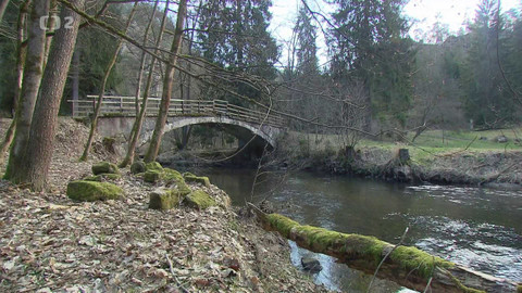 Nedej se! - WWF Česko