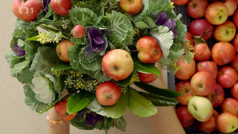 Všechno, co mám ráda - Epizoda 178/47