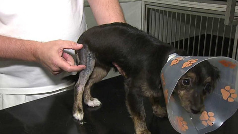 Týden v regionech (Ostrava) - 9. prosince 2017