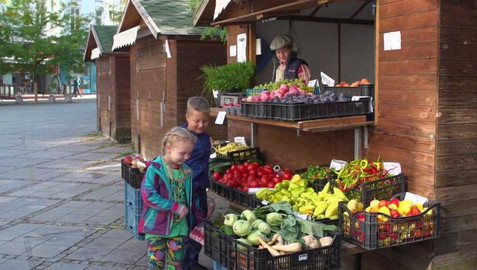Draci v hrnci - Kedlubna – nenápadná princezna zeleninových záhonů
