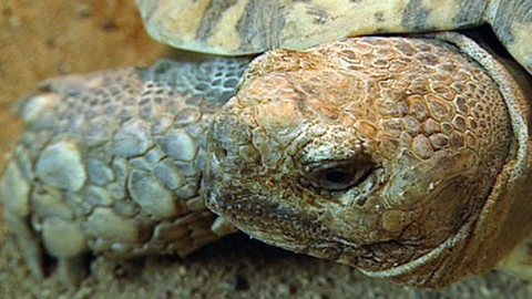 Máte mě! - 12. února 2012