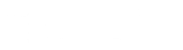 Černá díra
