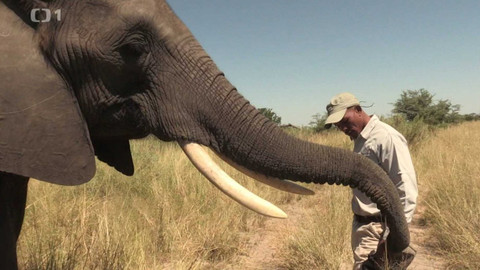 Objektiv - 17. března 2024