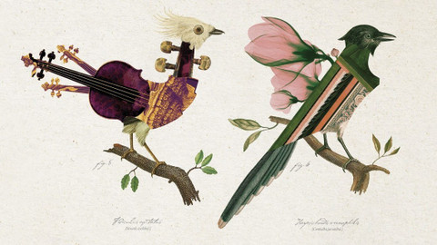 Mezinárodní hudební festival Pražské jaro - 72. mezinárodní hudební festival Pražské jaro 2017