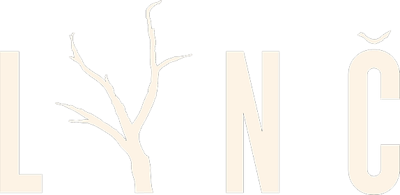 Lynč
