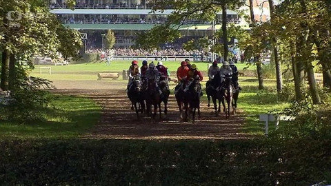Velká pardubická - 129. Velká pardubická se Slavia pojišťovnou