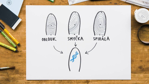 What the Fact? - Proč máme otisky prstů?