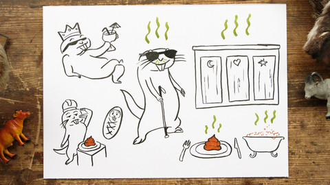 What the Fact? - K čemu jsou bobky?