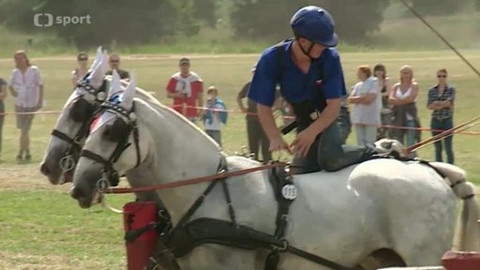 Jezdectví - Světový pohár jezdeckých spřežení