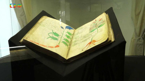 Tamtam - 6. října 2018