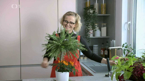 Všechno, co mám ráda - Epizoda 227/46