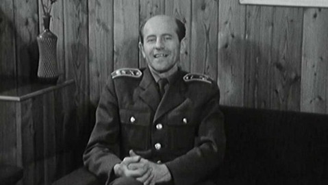 Archiv D - Teprve 15 let