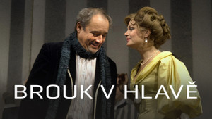 Obrázek pořadu Brouk v hlavě