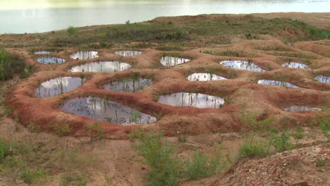 Nedej se! - Prosba o milost