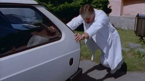 O zvířatech a lidech - 5/13 Papoušek