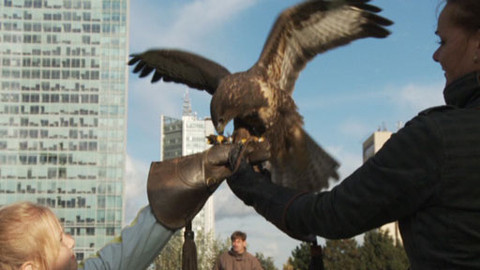 Chcete mě? - 23. října 2011