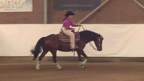 Jezdectví - Mistrovství České republiky v reiningu Kozlovice