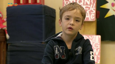 Paličky - Zvířata