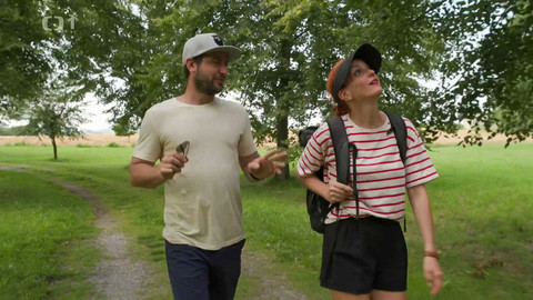 Tamtam - Tamtam plus