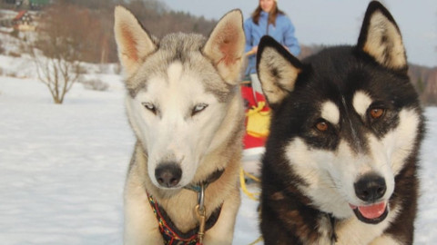 Chcete mě? - 23. dubna 2017