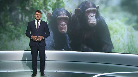 Věda 24 - 29. května 2022