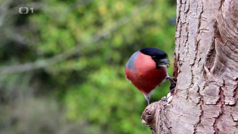 Polopatě - 12. října